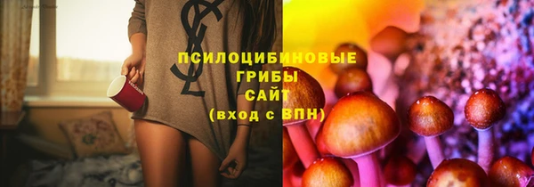 соль курить ск Бородино
