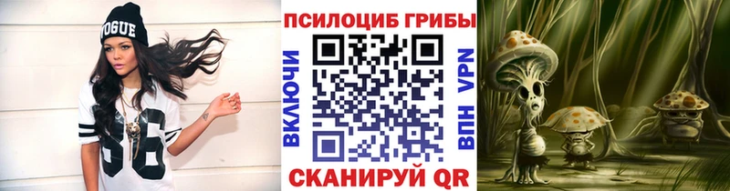 наркотики  Железноводск  Псилоцибиновые грибы Psilocybine cubensis 